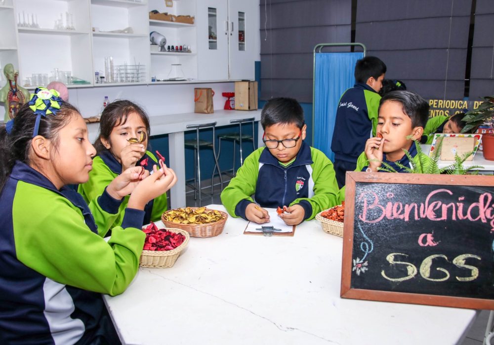SGS-Horario-Primaria-03